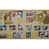 Album Panini : Pollyanna
