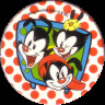 POG Animaniacs - Jouet de la récré