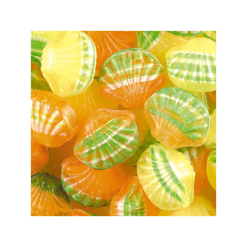 Bonbon coquillage Cok - Coque Poudre - 150g
