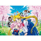 Cartes Postales Sailor Moon