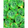 Bonbons extraterrestres - Halloween