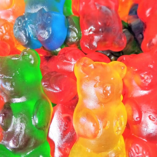 Bonbons Maxi Oursons