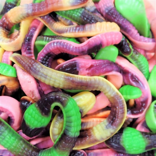 Bonbon Pit le python - Halloween