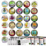 CAPS - Sachet de 6 smash caps + 1 slamer ALIEN (type POG)