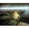Nicky Larson (City Hunter) : Saison 1 - Intégrale